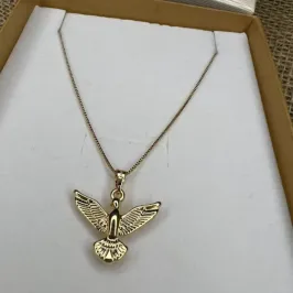 Colar e Pingente Espírito Santo - Banhado a Ouro 18K