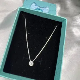 Colar Ponto de Luz Redondo 5mm - Prata 925