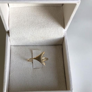 Anel Rabo de Sereira Liso - Banhado a Ouro 18K