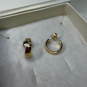 Brinco Argolinha Inspiração Joia - Banhado a Ouro 18k